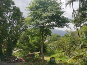 Hotel Finca San Nicolas