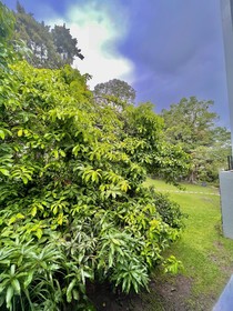 Hotel Finca San Nicolas