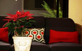 Hotel Meson de Maria