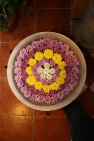 Hotel Villa Terra