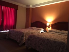Hotel Las Palmeras
