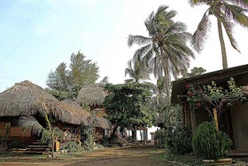 Palapa Cabins