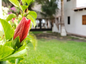 Rancho Los Chatos