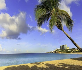 The Towers at Mullet Bay