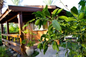 Naomi's B&B