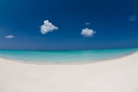Hollywood Beach Suites