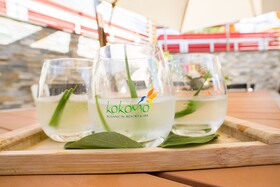 Kokomo Botanical Resort