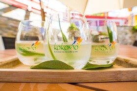 Kokomo Botanical Resort