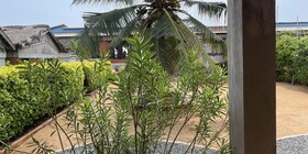 La Maison Bleue Lomé