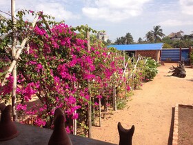 La Maison Bleue Lomé