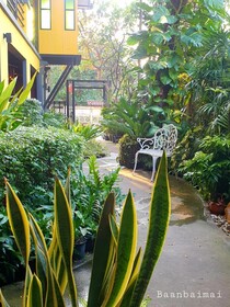 Bann Baimai Boutique Room