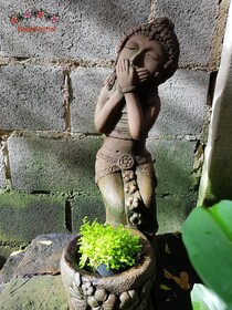 Bann Baimai Boutique Room