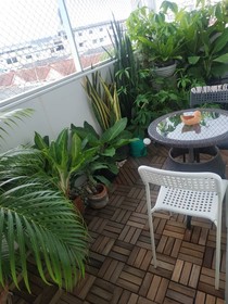 Acozyposhtel