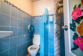 Acozyposhtel