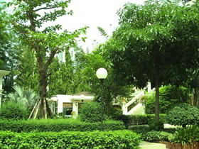 Ariston