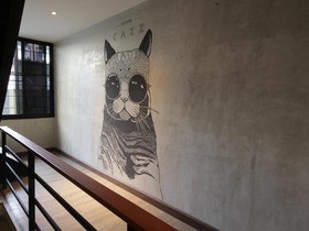 Cazz Hostel