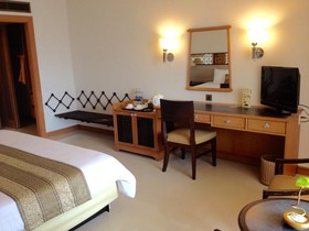 Indra Regent