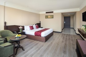 The Twin Towers Hotel