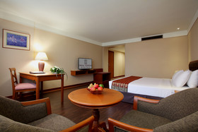 The Twin Towers Hotel