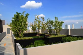 Wooden Suites