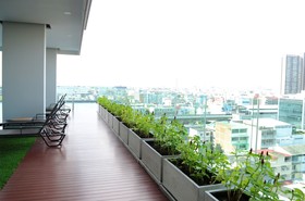 Wooden Suites