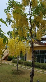 Bangkok Grand Resort