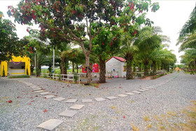 View Dao Jandhra