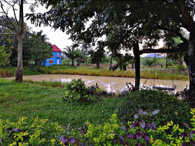 View Dao Jandhra