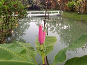 Baan Suan Leelawadee