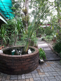 Bankitsada Homestay