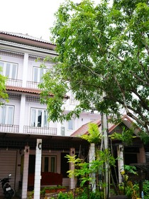 Thanicha Resort Amphawa