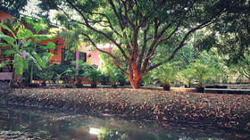 Warakorn Baansuan Amphawa