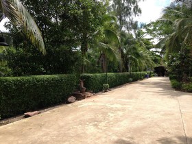 Young Coconut Garden Home Resort