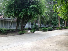 Young Coconut Garden Home Resort