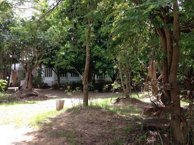 Young Coconut Garden Home Resort