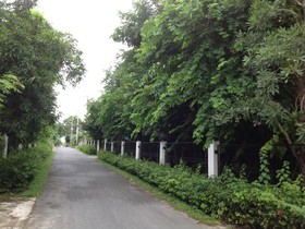 U D Home Apartment