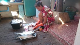 Bang Boet Bay Beach Resort