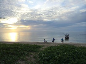 Salacoco