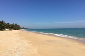 Salacoco