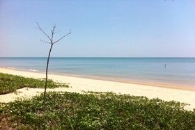 Salacoco