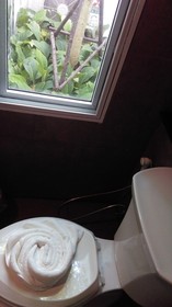 Seanery Beach Resort
