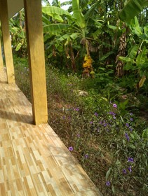 Carereen Boutique Resort
