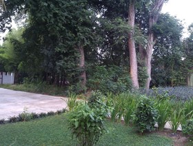 Carereen Boutique Resort