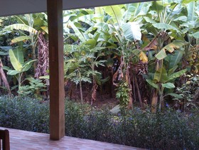 Carereen Boutique Resort