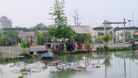 Check-in Resort