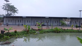 Check-in Resort