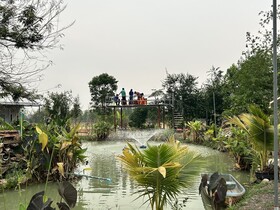 Check-in Resort