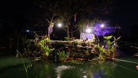 Check-in Resort