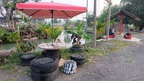 Check-in Resort