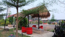 Check-in Resort